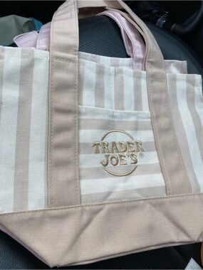 Striped Canvas Tote Bag in Beige and White